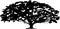 Vector Tree Black White Outline