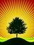 Vector tree on shine background