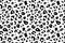 Vector Trendy leopard skin background. Abstract wild animal pattern, cheetah spots black and white texture vector