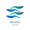 Vector trendy marine logo of 4 whales or orcas in deep water ocean or sea in modern gradient colors. Can be used for sea store,
