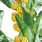 Vector Tropical bananas palm, textural seamless pattern.