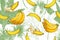 Vector Tropical bananas palm, textural seamless pattern.