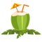 Vector of a tropical coconut drink with a small vibrant umbrella