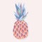 Vector tropical food illustration. Colorful bright pineapple.