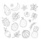 Vector tropical fruit, flowers and leaves outlines. Jungle foliage and florals black and white illustration. Hand drawn flat