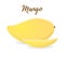 Vector tropical fruit - yellow mango with slices. Cartoon style