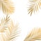 Vector tropical Golden palm leaves on white background