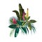 Vector tropical green, blue plant, jungle leaves and flowers set