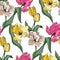 Vector Tulip engraved ink art. Floral botanical flower. Seamless background pattern. Fabric wallpaper print texture.