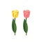 Vector tulips