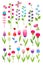 Vector tulips and bluebell. Set