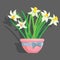Vector tulips grey background