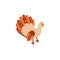 Vector turkey bird flat illustration isolated