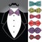 Vector tuxedo with ornamental bow tie set