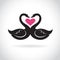 Vector of two loving black swans and pink heart on white background. Wild Animals. swans logo or icon.