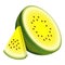 Vector two pieces yellow watermelon. Composition half watermelon and triangular slice watermelon. Cute Vector illustration