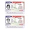 Vector USA passport visa sticker template in flat style