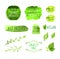 Vector Vegan MenuPackaging Labels Icons Collection, Background Marks.