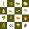 Vector vegan protein icons