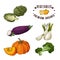 Vector vegetable element of artichoke, eggplant, fennel, pumpkin, broccoli. Hand drawn icon with lettering. Food