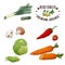 Vector vegetable element of leek, mushroom, chilli, iceberg lettuce, carrot. Hand drawn icon with lettering. Food