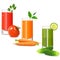 Vector Vegetable Juice Icons