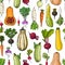 Vector vegetables food pattern on white background. Colored farm products.