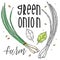 Vector vegetables green onion in a realistic sketch style. Healthy food, natural product, vegetable farm, vegan food, sports nutri