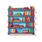 Vector of a vibrant bookshelf filled with a colorful collection of books