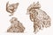 Vector vintage collection of roosters and hens,sepia background,farm bird