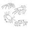 Vector vintage crab drawing. Hand drawn monochrome seafood illustration. Great for menu, poster or label. crab animal vector