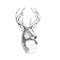 Vector vintage deer head in engraving style. Hand drawn illustration with animal portrait isolated on white