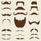 Vector vintage mustache and beard collection