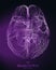 Vector violet illustration of 3d brain top with synapses and glowing neurons. Conceptual image of idea birth or