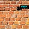 Vector wall brick, grunge background. EPS