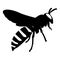 vector wasp logo
