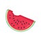 Vector water melon, watermelon slice fruit illustration, fresh h
