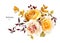 Vector watercolor bouquet. Autumn yellow rose flowers, carnation, orange eucalyptus leaves, burgundy branches editable floral