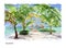 Vector watercolor illustration of the Maldives sightseeings