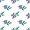 Vector watercolor pattern with blueberries. Blueberry berries with twigs in a hand-drawn style