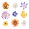 Vector watercolor spring flowers collection