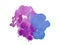 Vector watercolor stain and splash. Colorful illustration of watercolour drops, drips and blots. Blue and pink. Isolated.