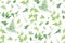 Vector watercolor style seamless greenery leaf pattern. Tropical leaves, jasmine vine, different fresh foliage. Textile fabric,