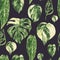 Vector watercolor tropical green leaves seamless pattern. Monstera Variegated greenery texture