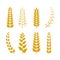 Vector Wheat Icons Set, Golden Wheat Ears Background, Logo Template.