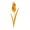 Vector wheat spike, cereals hand drawn flat icon