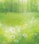 Vector white dandelions on forest background.