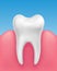 Vector white single tooth in healthy gums on blue background - stomatology, dental hygiene