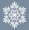 Vector white snowflake icon silhouette drawing