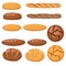 Vector whole grain bread icons
